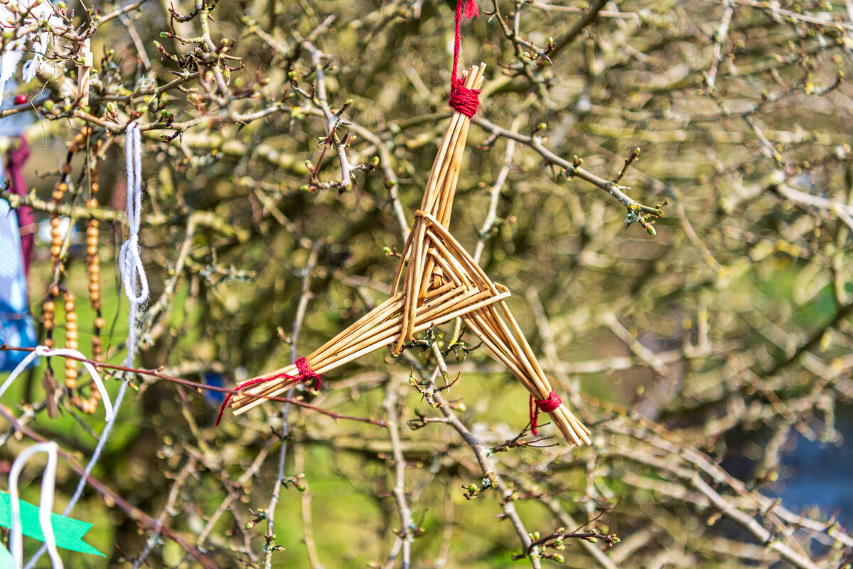 Brigids Holy Well 17, Co Kildare Brigid's Holy Well - Co. Kildare Ireland